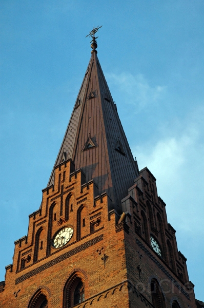 DSC_0271 1_out.jpg